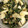 クックZ8J4H4☆'s cooksnap of when they made ほうれん草・椎茸・ゆで卵のマヨサラダ♪.