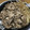 クロクロクローバー's cooksnap of when they made これぞ黄金率！豚しょうが焼き.