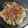 HomaRuu's cooksnap of when they made ＊新玉ねぎと貝割れのマヨポンサラダ＊.