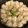 クックWI668R☆'s cooksnap of when they made 海老シュウマイ.