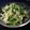 wakamegu's cooksnap of when they made レンジで簡単！悪魔の水菜.