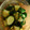 あんこだよ。's cooksnap of when they made しょうゆ麹を使う~なんちゃってもろきゅう.