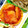 nosso's cooksnap of when they made 食欲増進！厚揚げのトマトカレーソース炒め.