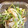 こうりん☆'s cooksnap of when they made 豆苗と豚肉のオイマヨ炒め.