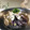 はらぺこしろうさぎ's cooksnap of when they made 茄子と舞茸の煮浸し.