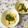 puniＫ's cooksnap of when they made クタクタ絹さやとじゃがいもの煮っ転がし♪.