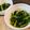 かなぽん☆☆'s cooksnap of when they made 簡単！ピリ辛！小松菜の胡麻薫る豆板醤和え.