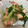 クック00N8WZ☆'s cooksnap of when they made かんたん！豚ばらと長芋のやみつき炒め.