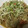 あきプー☆'s cooksnap of when they made ごぼうの卵とじ.