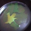 ★とみか★'s cooksnap of when they made 干し椎茸の戻し汁でお吸い物.