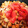 まな_mana's cooksnap of when they made ★簡単おつまみ★厚揚げとトマトの挽肉炒め.