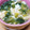 ﾋﾟﾛﾐ♡'s cooksnap of when they made 小松菜と卵のスープ.