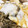 67luna's cooksnap of when they made シメジとマイタケの酒蒸しとろろがけ.