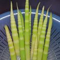 ほくキク's cooksnap of when they made 姫竹（根曲がり竹）の下処理とゆで方.