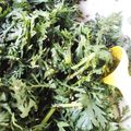 みよ～'s cooksnap of when they made 。＊春菊サラダ＊。.
