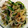 kohada2251's cooksnap of when they made 簡単*白だしde三つ葉と茸のおひたし*.