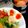 ルぴあ's cooksnap of when they made 4分ルールで！楽しくとろりん♡ゆで卵.
