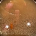 H♡S's cooksnap of when they made ベーコンとじゃがいもの洋風味噌汁.