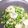 ソネチコ's cooksnap of when they made お出汁で美味しくグリンピースの卵とじ.