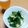 ちろりん11's cooksnap of when they made 超簡単！キュウリの浅漬け.