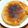 nosso's cooksnap of when they made 砂糖・卵不使用！もっちりパンケーキ.