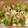 さかなぷりん's cooksnap of when they made 鶏もも肉とトマトのマヨチーズ焼き.
