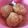 あすか_てんくま's cooksnap of when they made 子供の朝ご飯やおやつに♪きなこご飯.