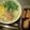 おたまっち's cooksnap of when they made たけのこの保存①☆しょうゆ漬け.