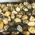 SAsunny's cooksnap of when they made 簡単　下処理✨アサリの砂抜き.