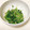 猫猫♬'s cooksnap of when they made 小松菜と豆苗の胡麻和え.