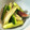 nee★'s cooksnap of when they made 簡単！きゅうりとみょうがの浅漬け。.
