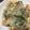 shoyshoy's cooksnap of when they made 春雨と豆苗の中華風炒め物.