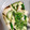 クックYP2OJ6☆'s cooksnap of when they made ✶長芋と胡瓜のわさび醤油和え✶.