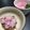 ☆GSSQHY☆'s cooksnap of when they made ワイン入り酢玉葱.