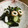 ★ＡＹ★'s cooksnap of when they made わかめとちくわときゅうりの酢の物.