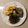 linhua's cooksnap of when they made 塩昆布とごま油のおにぎり.