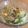 JackFruits's cooksnap of when they made 簡単！給食の春雨サラダ.