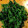 miffy77's cooksnap of when they made ほうれん草と海苔の梅あえ.
