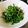 ばく★ちく's cooksnap of when they made 激ウマ☆簡単豆苗サラダ.