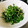 ばく★ちく's cooksnap of when they made 激ウマ☆簡単豆苗サラダ.