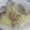 くうこうた's cooksnap of when they made 旬のあさりで酒蒸し→ボンゴレにもなるよ♪.