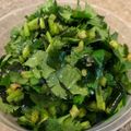 PARNELL's cooksnap of when they made ディトックス！パクチーとワカメのサラダ.