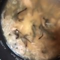マリアマリママ's cooksnap of when they made ツナと塩昆布を混ぜるだけ！炊き込みご飯！.