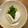 G　ロッソ's cooksnap of when they made 簡単‼️菜の花のからし和え♥️.