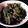 こうせ★'s cooksnap of when they made ☆簡単・定番の副菜☆ほうれん草胡麻和え.