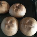 あつさちゃん's cooksnap of when they made 自家製酵母でチョコパン.