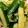 クックJ33895☆'s cooksnap of when they made 包丁まな板不要！手割りやみつきキュウリ.