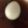 ma___111's cooksnap of when they made うずらの卵のわさび醤油漬け.