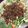 クックZPOUJT☆'s cooksnap of when they made 甘辛挽肉のサラダうどん☆.