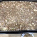 たちぽんぽん's cooksnap of when they made 簡単　もんじゃ焼き.